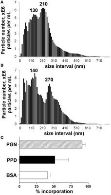 Reduction of T-Helper Cell Responses to Recall Antigen Mediated by Codelivery with Peptidoglycan via the Intestinal Nanomineral–Antigen Pathway